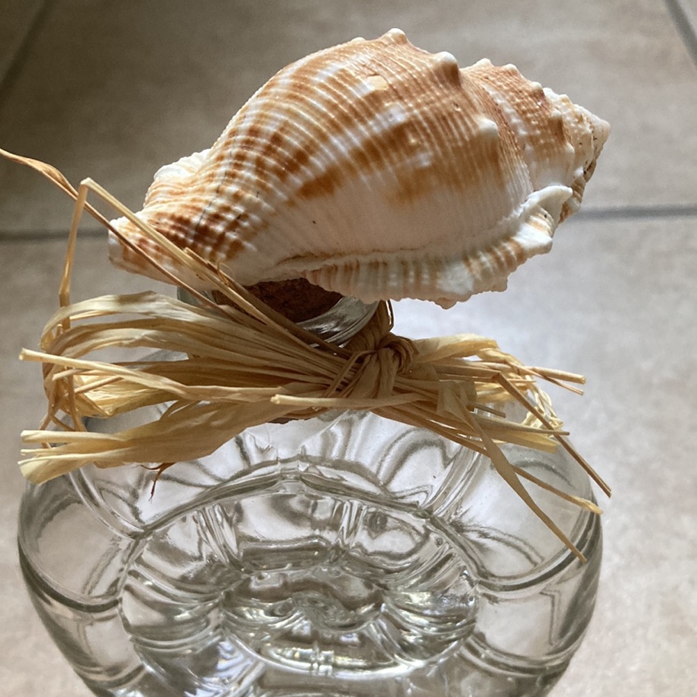 Shell and Seahorse decor set - Picture 4 of 8